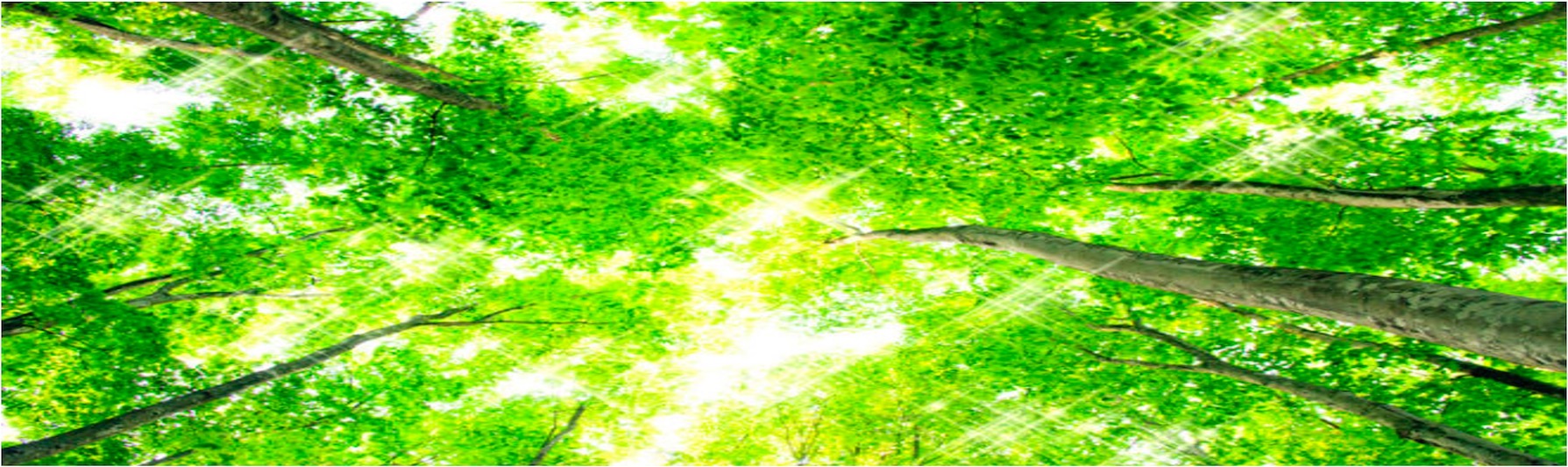 slider img